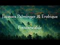 Jacques Palminger & Erobique - Finsterwalde (lyrics)