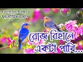 রোজ বিহানে একটা পাখি।। Roj bihane ekta pakhi.. New Islamic bangla song.. #banglais