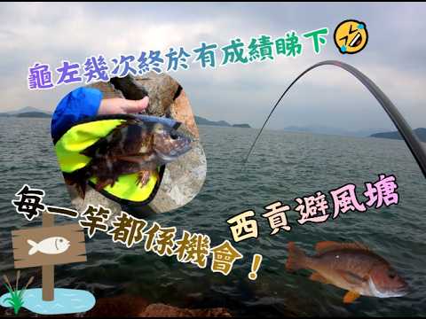 【西貢避風塘のHit完又Hit】西貢｜釣魚｜石駁｜石蚌｜石壆｜防波堤｜沙蝦｜岸釣｜潮退｜釣點｜青蟲｜石狗公｜散石｜步兵｜手竿