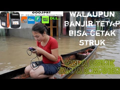 Foto paket palu Thor Efek Da Hong Pao pada potensi