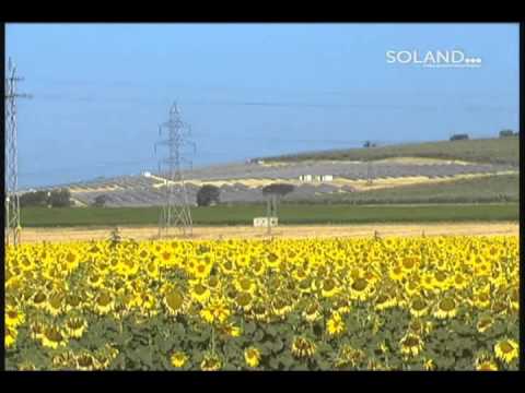 Presentación Parque Tecnológico de Innovación Empresarial Soland en Sanlúcar la Mayor