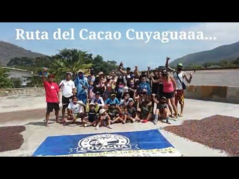 RUTA DEL CACAO EN CUYAGUA: SURF CAMP