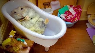 Miniature vidéo