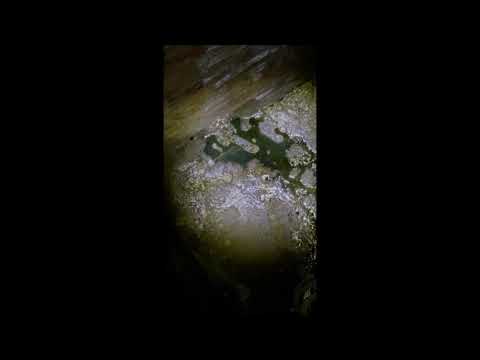 eBihoreanul.ro - Poluare masivă în Băile Felix