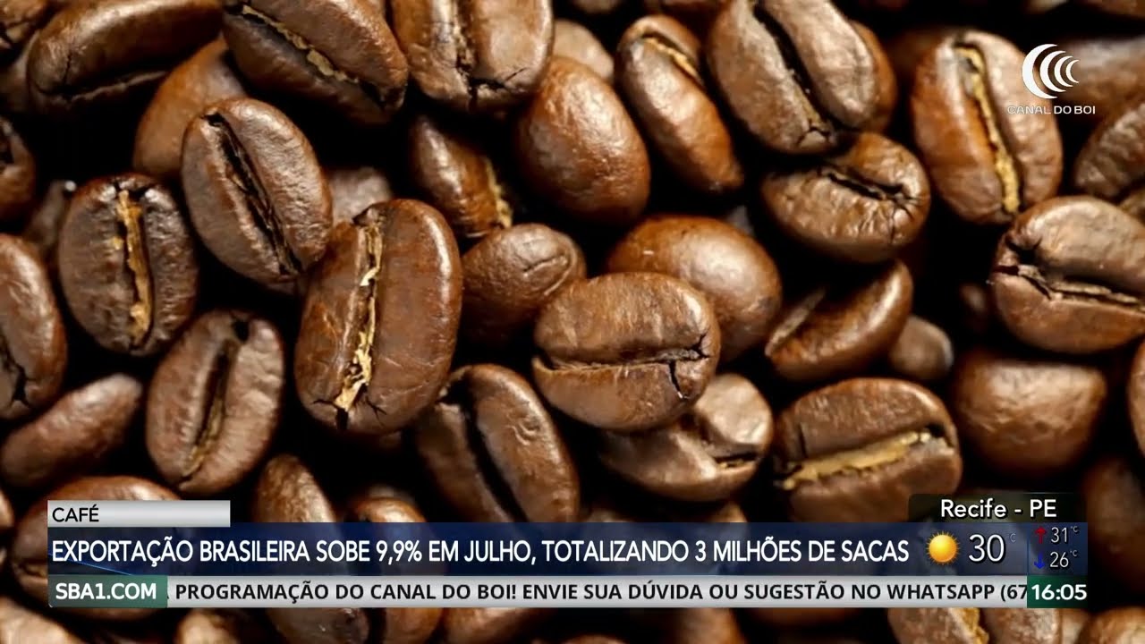 Exportações de café do Brasil em julho sobem 9,9% chegando a 3,03 milhões de toneladas