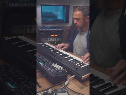 Sepia Blur Patch ➡️KORG WaveState Soundset: Producer Pack Vol.1 #wavestate #korgsynth #korgwavestate