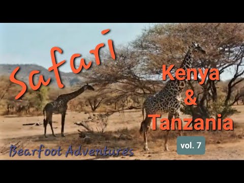 African Safari in Kenya & Tanzania | vol. 7