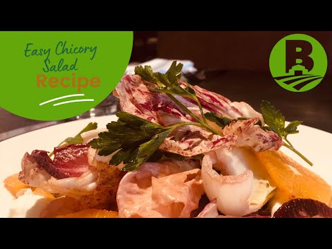 Mixed Chicory Salad Recipe