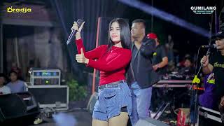 Download lagu D'RADJA PASTI AJA - SAKIT HATI - SALMA NOVITA - PARTY PEMUDA JATI GILI - JRAHI GUNUNGWUNGKAL mp3