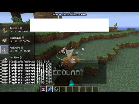 How to get a "Red Gyarados"(cooked) in Pixelmon