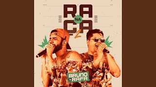 Colo Colo / Vem Novinha (Ao Vivo)