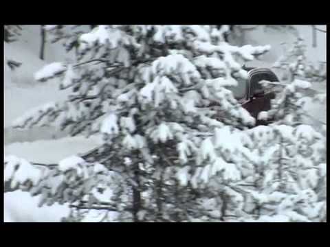 Ruote in Pista n. 2201 - Le News di Autolink