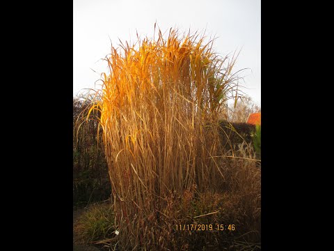 Carillon libre 2 for Tubular Bells and Brass Sextet 20191222