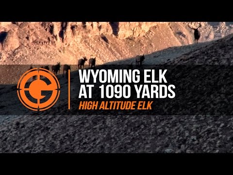 LRP Highlights | S1 E6 Wyoming Elk at 1090 Yards