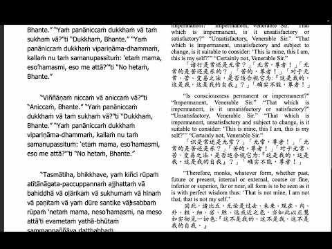 Daily Dhamma Reflection p.31 Discourse on Non-Self Characteristic 無我相經. PLEASE SHARE THE DHAMMA!