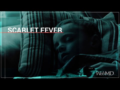 The Basics: Scarlet Fever | WebMD