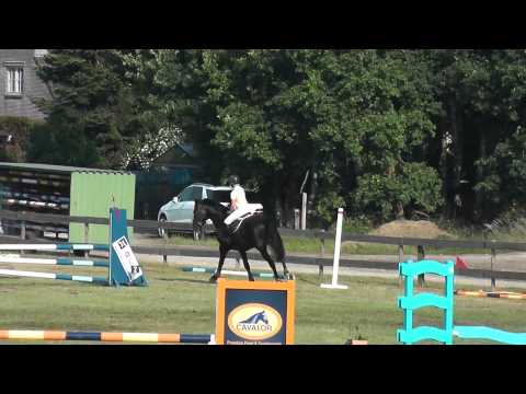 Holstenhoeve Dominator 2000 4yo ( Diamant de Semilly x Cassini I)