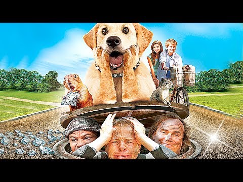 The Billionaire Dog  | Full Movie (English Subtitles)