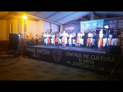 Somes cântecele tale 2017