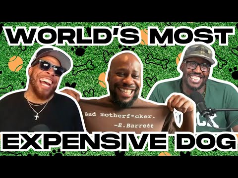 Baseball Makes NO Sense + $5.7 MILLION Dog?! on DIYS w/Malcolm Barrett and Dion Lack