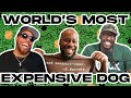 Baseball Makes NO Sense 5 7 MILLION Dog On DIYS W Malcolm Barrett And Dion Lack