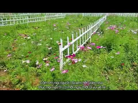 PANAMERA BẢO LỘC - FULL THÔ CƯ GIÁ CHỈ 830TR/NỀN