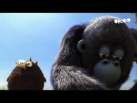 Les as de la jungle à la rescousse saison 3 épisode 24 L'enrhumé des 12 singes