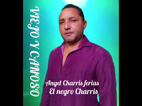 Cancion viejo y canoso 