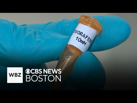 PMC funding helps new brain cancer drug become FDA ...