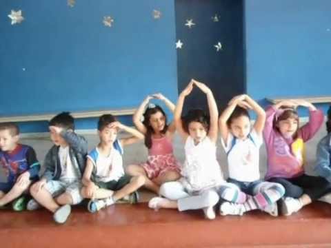 Vamos passear na floresta