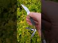 Case Seahorse whittler- olive green bone fence row jig (6355WH) #usamade #cutlery #blade #edc