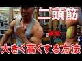 上腕二頭筋を大きく高くする方法を解剖学的に解説!長頭を鍛えてピークを作るフォーム