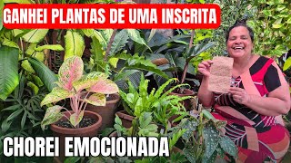 RECEBI UMA CAIXA DE PLANTAS E FIQUEI MUITO EMOCIONADA 