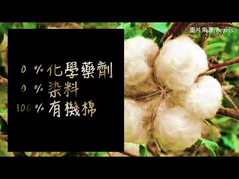 貼身環境守護者 冶綠讓你穿得有機