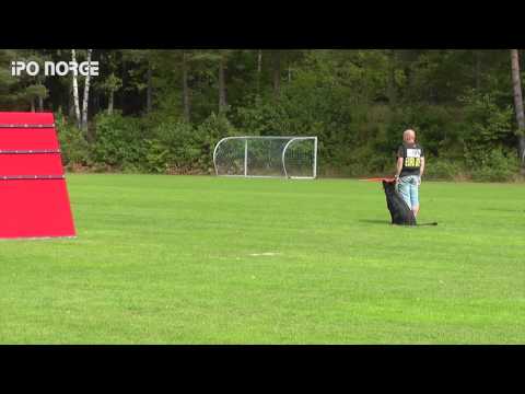 FCI NM IPO 2014 Erling Mathisen - Henriette vom Luberg B