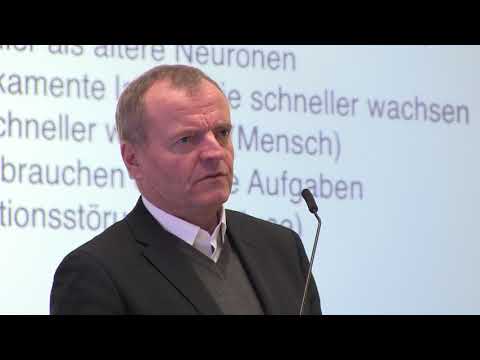 Sport und Gehirn - was weiß die Neurowissenschaft?