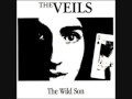 The Veils- & One Of Us Must Go 