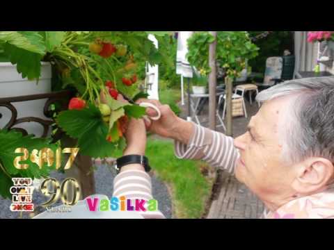 Gelukkige verjaardag VASILKA 7 juni 2017 90 jaar