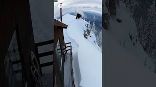 滑落する熊　A bear slipping and falling. #ai