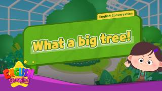 What a big tree!  - [Subject] - Renewal - Easy Dialogue - Role Play