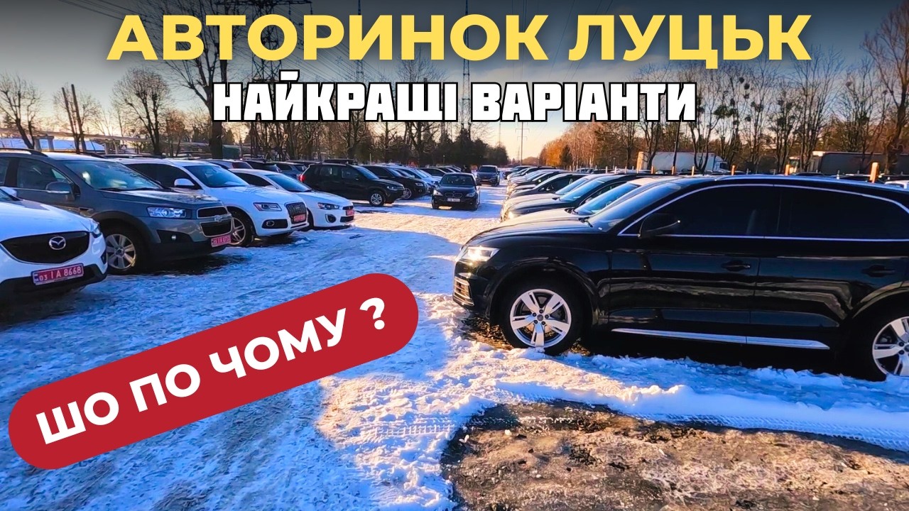 Авторинок Луцьк - ШО ПО ЧОМУ ? #авторинок #автобазар #купитиавто