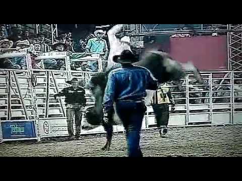 Romildo Monteiro x urutu da Cia girassol