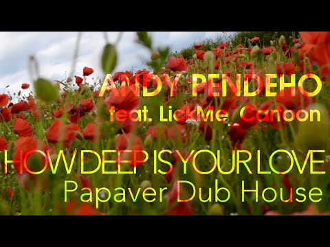 Andy Pendeho feat. Lickme_Cartoon - How Deep is Your Love (Papaver Dub House)