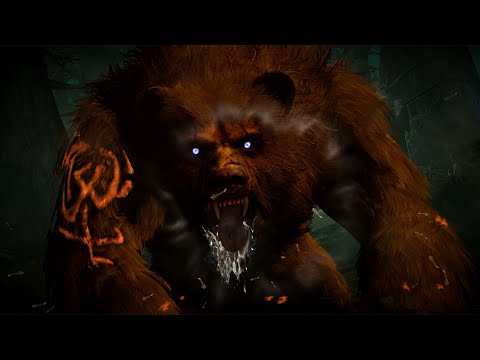 Diablo Immortal | Druid Skills and Play Styles