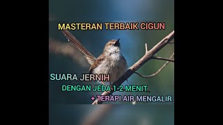 Download lagu MASTERAN SUARA CIGUN JERNIH DENGAN JEDA 1-2 MENIT   TERAPI AIR #CIGUN mp3 Download lagu MASTERAN SUARA CIGUN JERNIH DENGAN JEDA 1-2 MENIT   TERAPI AIR #CIGUN mp3