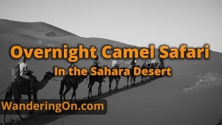OVERNIGHT CAMEL SAFARI IN THE SAHARA DESERT - Morocco