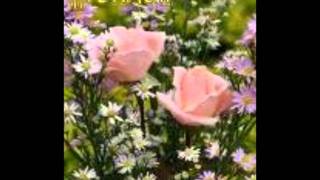 nek las cosas que defendere