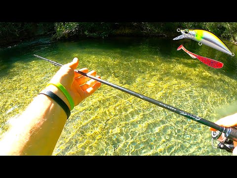 Pescata solitaria in Torrente usando Minnow e Gomme Artificiali! TRE Specie Diverse e TANTE Catture!
