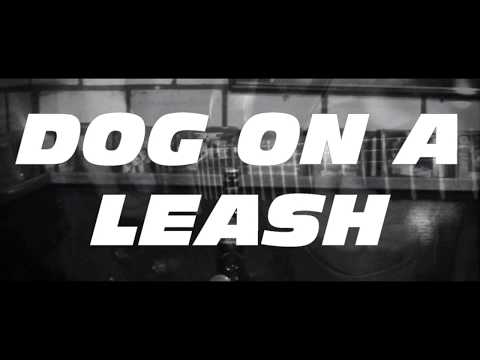 Dog On A Leash