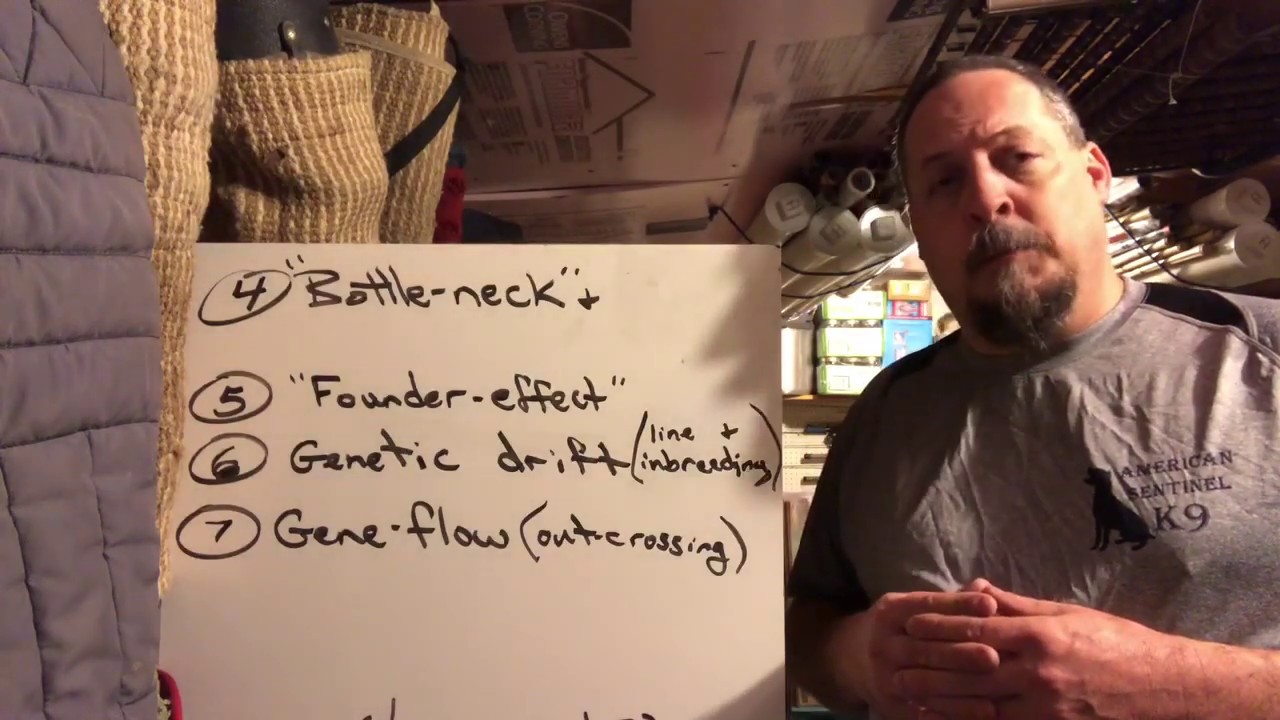 Selective Breeding & Improving the Gene Pool - Ep#169